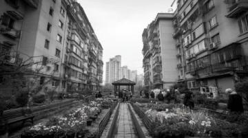 深圳:自由生長的改革樣本