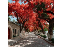 不花錢的廈門景點(如何旅游廈門景點而不花錢)