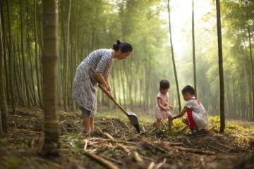 打卡福州國(guó)家森林公園竹園，200多種竹子讓你大開眼界！