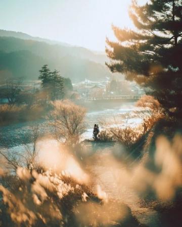 煙臺(tái)招遠(yuǎn),冬至將至,入冬之后的兩場(chǎng)降雪,路邊的菊花傲視風(fēng)雪的姿態(tài)。