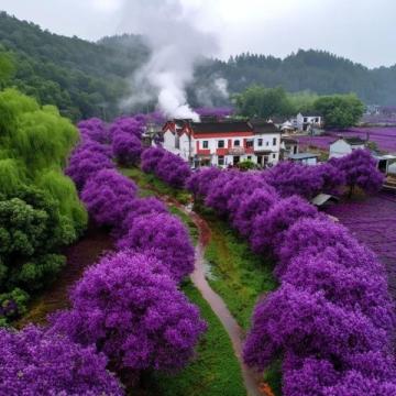 五一假期國內(nèi)外熱門旅游目的地推薦