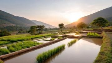 云南旅行攻略:如何巧妙規劃你的行程