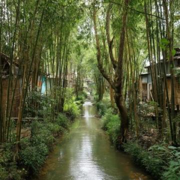 2023.7.8武漢陰雨記:陪讀生活點滴與育兒感悟