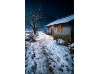 煙臺(tái)招遠(yuǎn)，冬至將至，入冬之后的兩場(chǎng)降雪，路邊的菊花傲視風(fēng)雪的姿態(tài)。