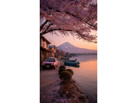 日本旅行指南：穿越時空體驗東方美學