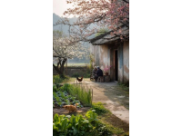 一個(gè)浙江的春天，在細(xì)枝末節(jié)