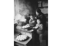 一位農(nóng)村娃的奮斗史，從一無(wú)所有到年賺50萬(wàn)，就因?yàn)樽隽诉@件事