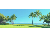 東方夏威夷之稱的海陵島：金色沙灘與清澈海水的魅力
