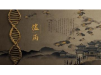 宋祖兒無憂渡之旅：透過半夏之眼探索人妖共存的世界