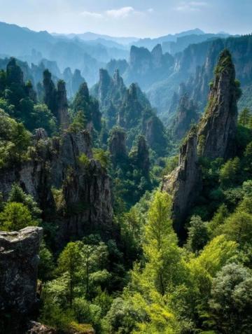秦嶺徒步探險：鍋坑梁美景與路線指南