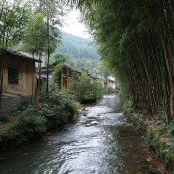 上海周邊海邊露營攻略:奉賢海灘、滴水湖與薄刀嘴營地探秘