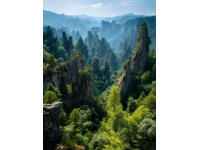 秦嶺徒步探險：鍋坑梁美景與路線指南