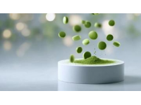 柳州融安特色美食濾粉，你吃過嗎？