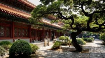 戳這里,一起來探索揚州美景與文化