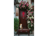 天潤鋁包木門窗保養(yǎng)小常識:密封膠條的正確使用與維護(hù)