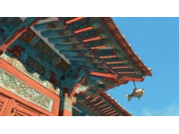 你可能沒注意到，但故宮的屋頂上為什么幾乎沒有鳥屎?