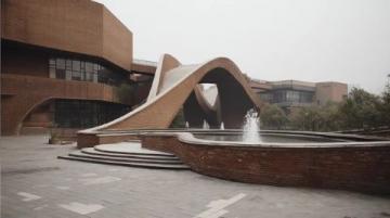 武漢大學親子游避坑指南,帶你暢游最美校園