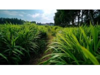 前幾天，我們進(jìn)行了一場說走就走的旅行---內(nèi)蒙古4日行