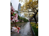 杭州很無敵的10家！！純自費無廣