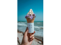 溫州：東南海濱美食城，山海交融味蕾盛宴