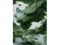 揭秘鐵觀音：中國茶王傳奇與養(yǎng)生秘籍