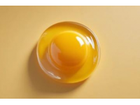 解鎖雞蛋新吃法簡單易學一看就會的做法