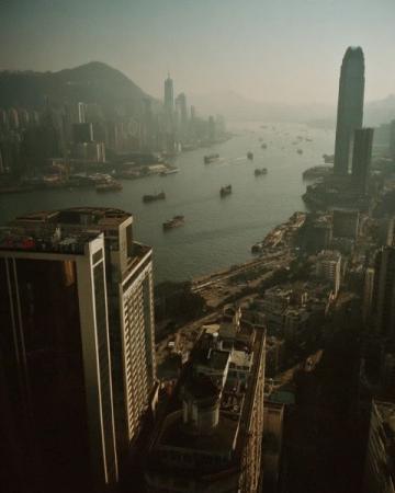 香港鼠患嚴峻:每捉一只老鼠成本約10880元,引發熱議
