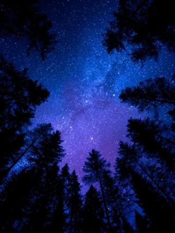 暗香滿天,夜色更深