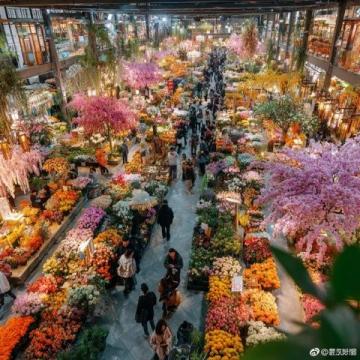 亞明農貿市場：沈陽皇姑區的繁華記憶與市井生活風情