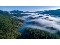 遇見(jiàn)撫仙湖的藍(lán)：澄江旅游攻略