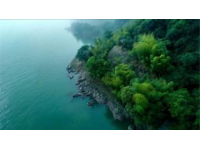 黃海之濱美食生活指南；東臺五一深度體驗。