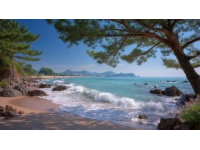 榮成海邊拍照爭議：禁令引發(fā)熱議，平衡旅游管理與公眾權(quán)利成焦點