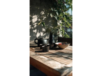 早茶文化：廣東飲食的獨特魅力初體驗
