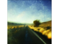 埃文·凱爾探秘廣西美食：五色糯米飯到螺螄粉