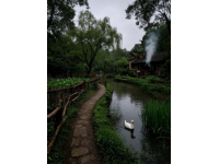 昆明四日游記：賞紅嘴鷗、探石林奇觀，品嘗地道云南美食