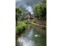 江西鄱陽湖畔春日美味：藜蒿炒臘肉的文化傳承與創新發展