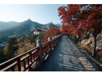 劍門關美景獨特，值得一游的旅游勝地