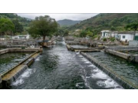 柳州周邊游推薦：螺螄粉、水油堆與古跡探秘之旅