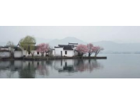 兩日游路線：武大櫻花+東湖綠道，這樣玩不繞路！