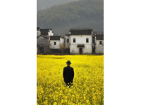 河北廊坊，男子獻(xiàn)血8次，卻在急用血時(shí)被告知獻(xiàn)血證過(guò)期，不能優(yōu)先用血！男子不能