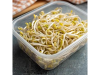春天的味道與營(yíng)養(yǎng)：四種適合孩子的春芽美食