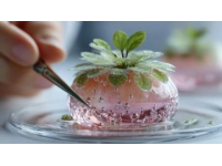 自制無限極美味：冰糖葫蘆的甜蜜藝術與創意水果拼搭