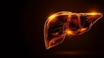 科學應對脂肪肝:揭秘極端素食背后的健康誤區與合理膳食策略