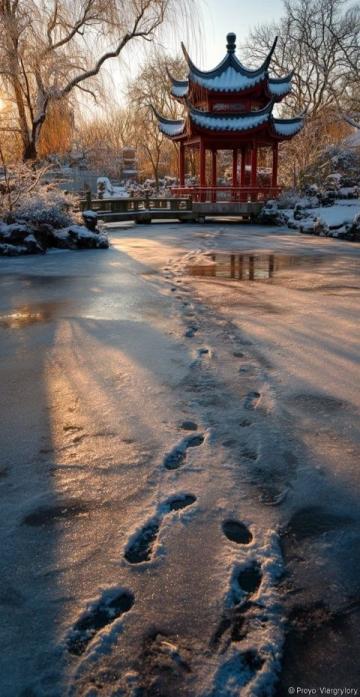 揭秘東北的趣味冷知識：冰雪藝術、方言魅力與美食風情