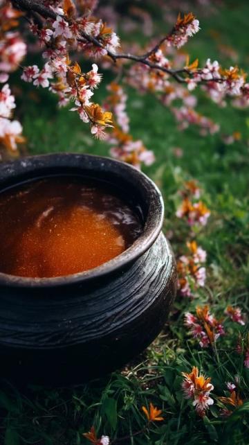 家常海帶豬蹄湯，滋補(bǔ)養(yǎng)生兩不誤