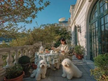 香格里拉啟動(dòng)新春推廣計(jì)劃：團(tuán)圓宴席與特色禮品齊備迎新年