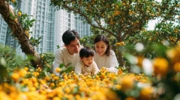 實(shí)況記錄云端花園的春日盛景：杜鵑花海、親子活動(dòng)與自然之美