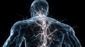有趣的冷知識科普：雷聲的秘密與人體的奇妙現(xiàn)象