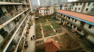 自貢國企新建農貿市場緩解南湖中區居民購物難題