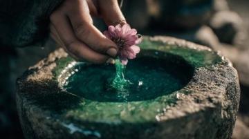 翡翠知識(shí)深度解析從種水到場(chǎng)口的全面指南